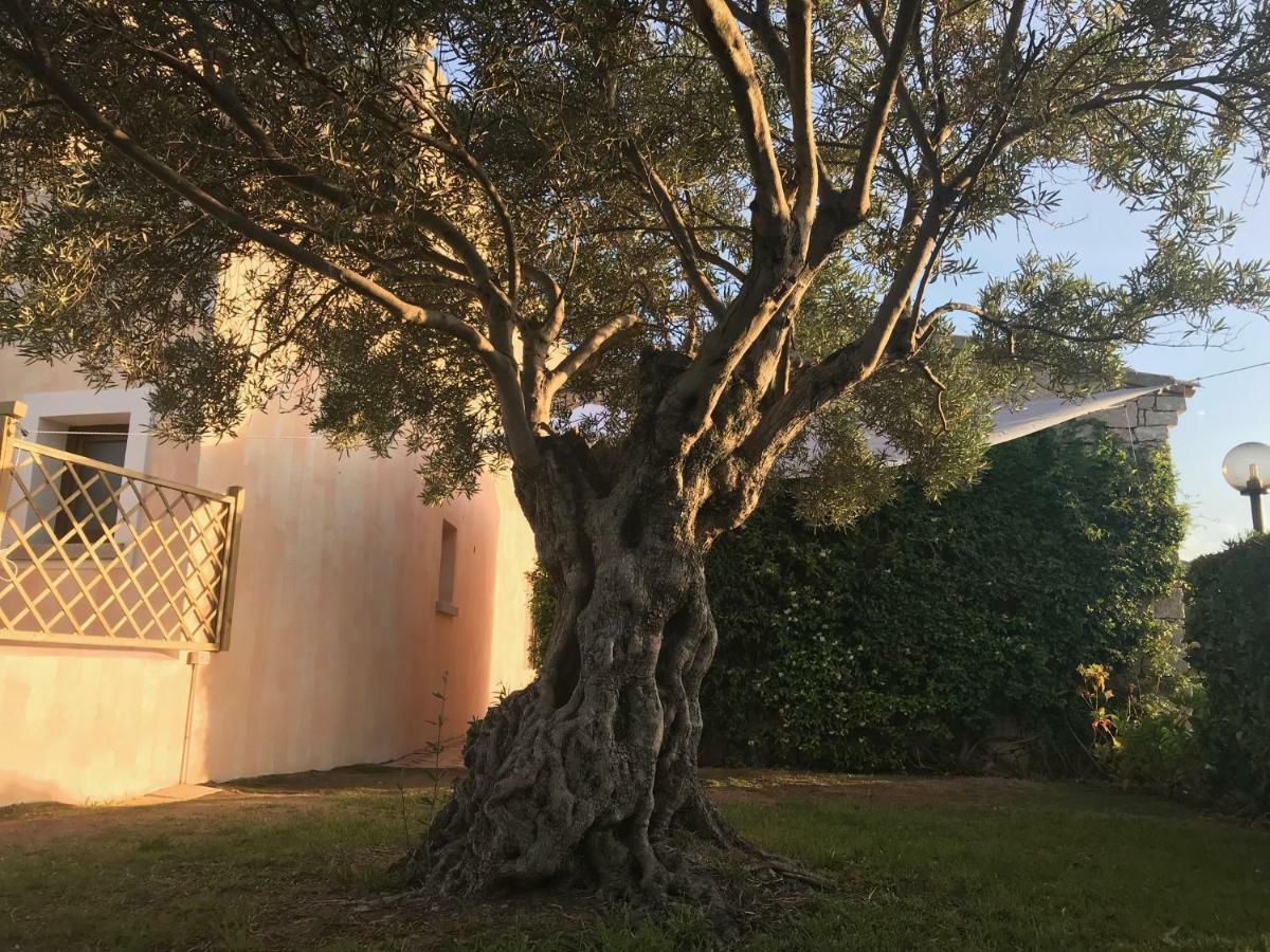 Esmeralda'S Rooms Porto San Paolo  Bagian luar foto